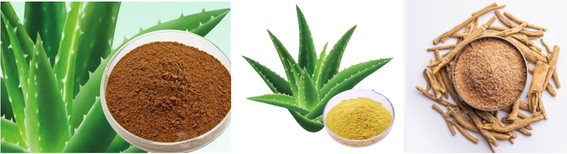 aloe vera extract benefits