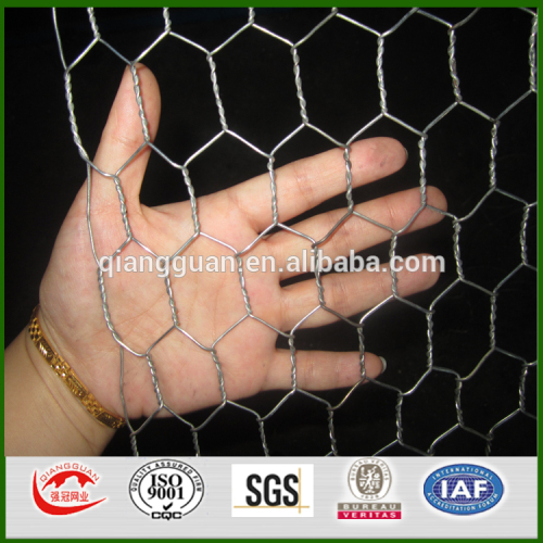 galvanized hexagonal wire netting chicken wire netting for pourity mesh