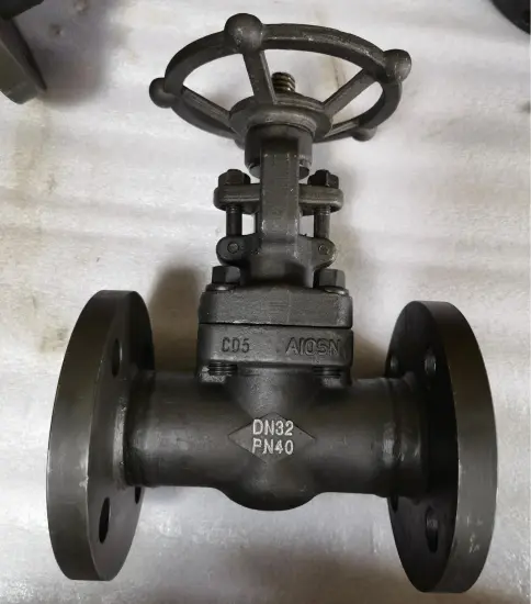 DN32 PN40 A105N Forging Gate Valve