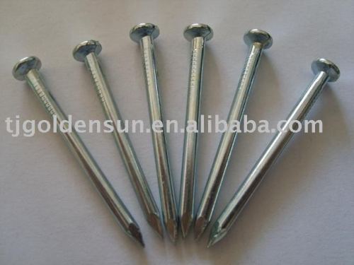 Common round head nails