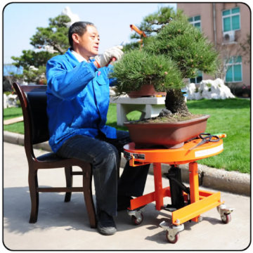 Pruning Lift Table (HMY Series)