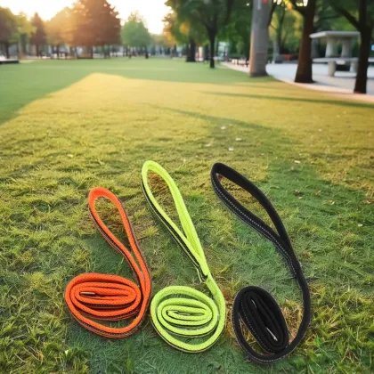 New Pet Products Solid Nylon Collars Dog Leashes