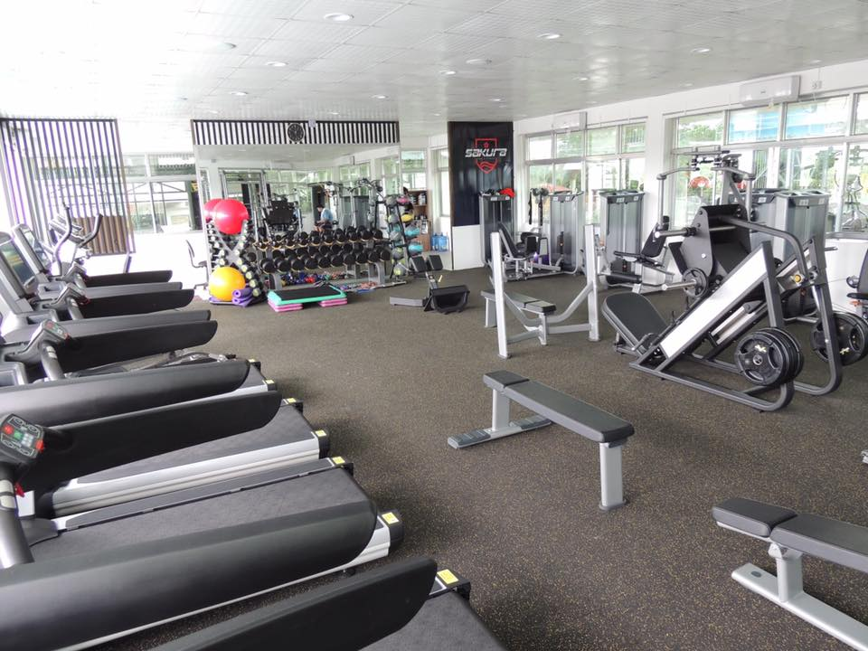 gym equipment supplier