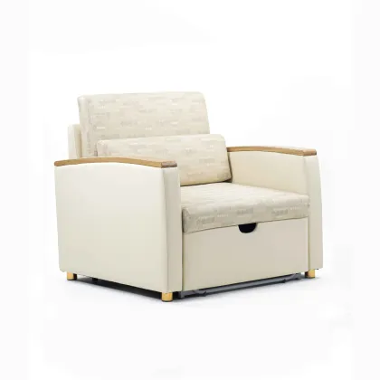 2024 Medical Sofabed Sleeper