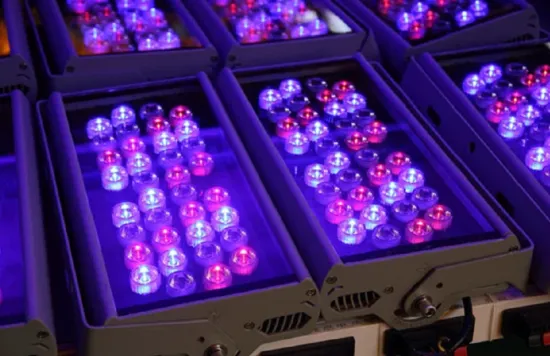 New Waterproof RGBW Outdoor Projects LED Light