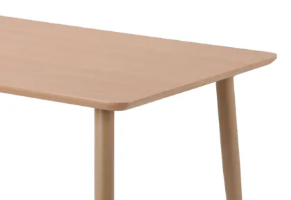 Wooden simple dining table