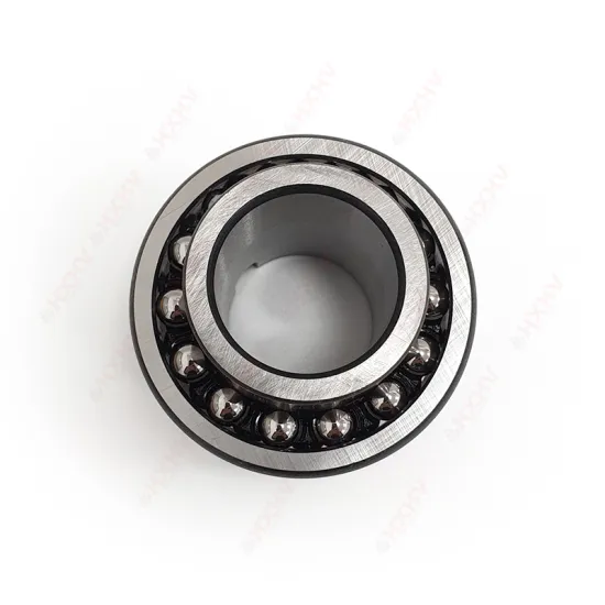Chrome Steel Double Row HXHV Self-Aligning Ball Bearing 30x62x48mm Extended Inner Ring