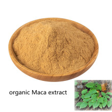 Buy Online Active Ingredients Organic Maca Extract Powder