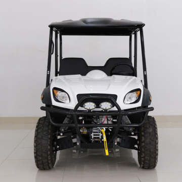 Stock Available: Electric UTV 4WD for Sale