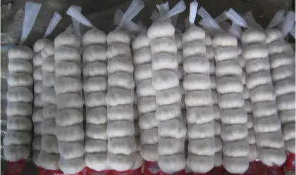 New Crop Fresh Chinease Garlic Vetetable