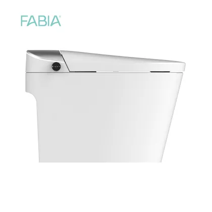 Remote Control Smart Flush Toilet with Baby Seat