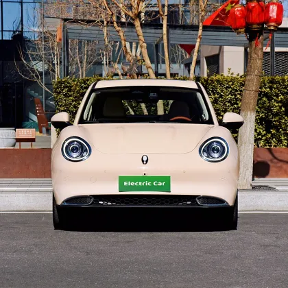 New energy small electric vehicle ora cat