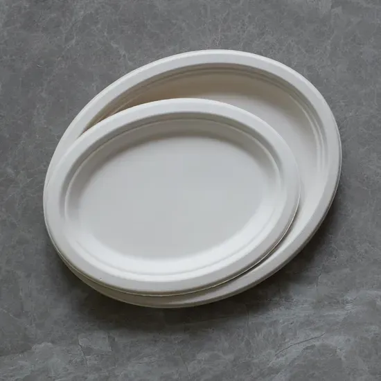 Eco-Friendly Sugarcane Bagasse Oval Plate