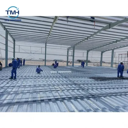 Best Sale Steel Structure Heavy House