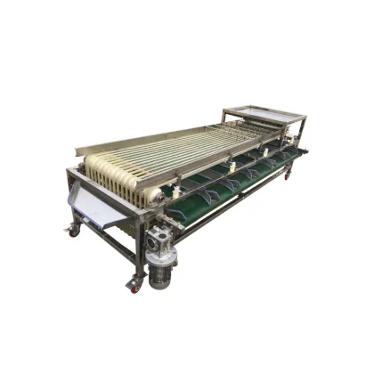 Strawberry Fruit Sorting Machine