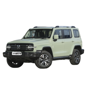 2023 Changcheng Great Wall Tank 300 Off-Road SUV 2.0T Gasoline Version