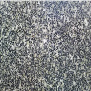 Forest green glossy supply