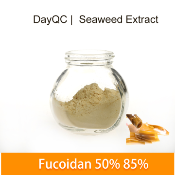 Extrait d&#39;algues Fucoidan Powder 50% 70% 85%