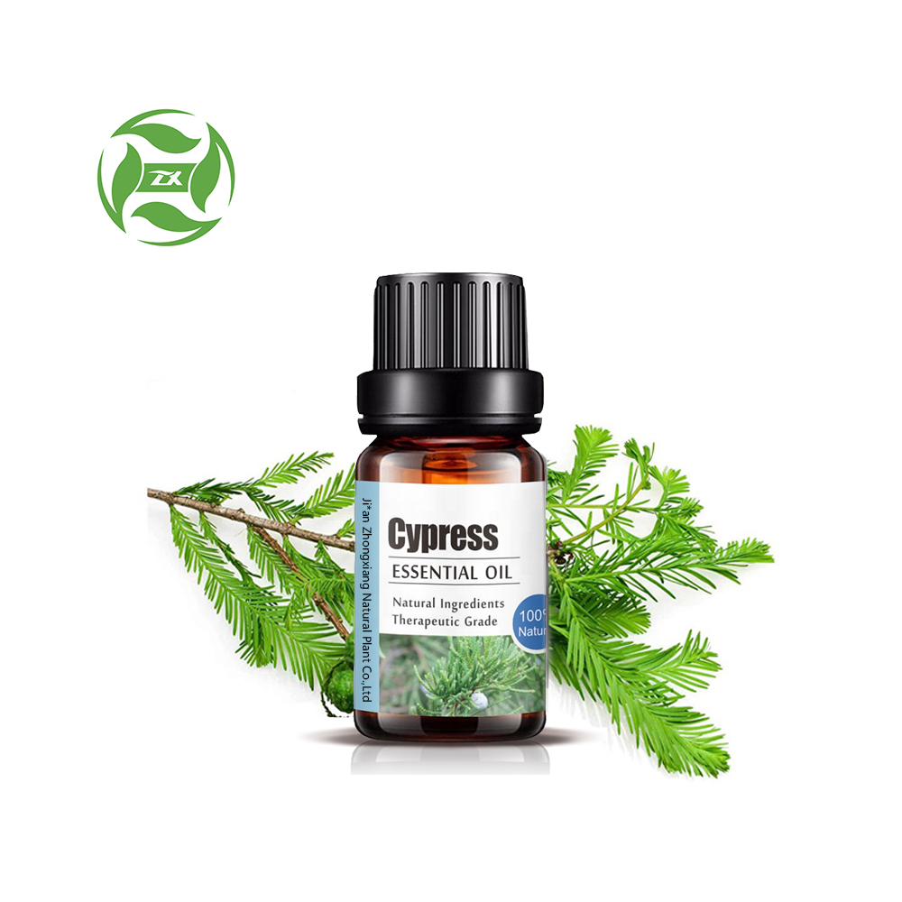 Factory Supply 100% Pure Cypress Essential Oil