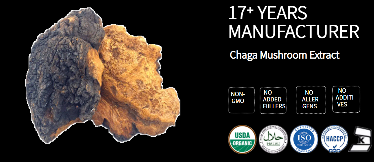 1.Chaga Mushroom Extract