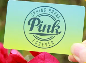 Factory Price CR80 Standard Size 4Color Printing PVC Cheaper VIP Card