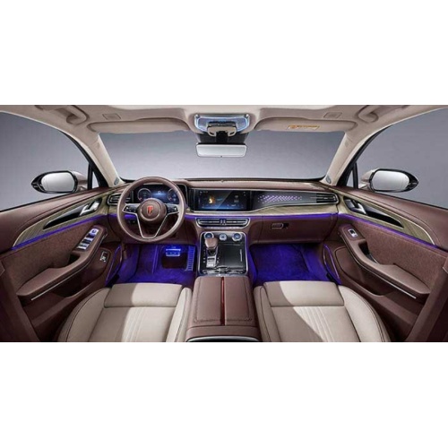 Pure electric new energy vehicle hongqi e-hs9 brown