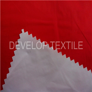 Breathable Nylon Taffeta Dwr Coated Fabric for Garment Fabric (DN3071)