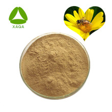 Extrait de chrysanthème sauvage 10% poudre de linarine 480-36-4