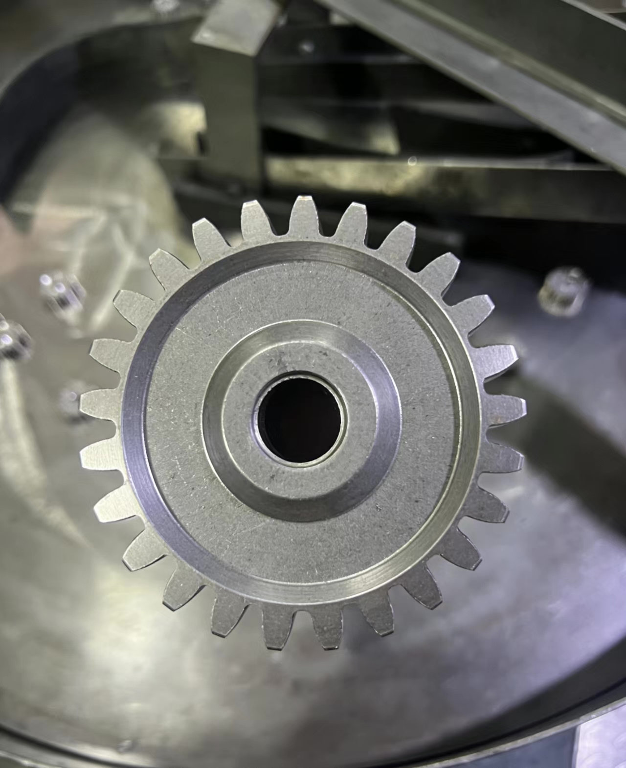 Spur Gear