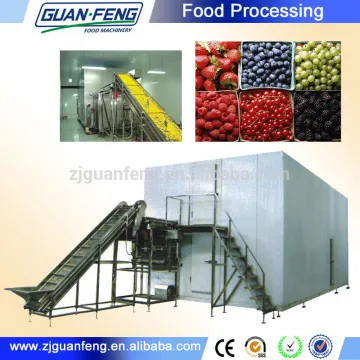 Pre-production equipment frozen vegetable production line