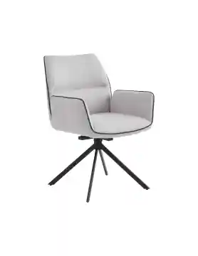 Dining Chair Dining Furniture