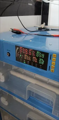 Chicken Farms and Egg Hatchery Equipment: Incubators for Sale