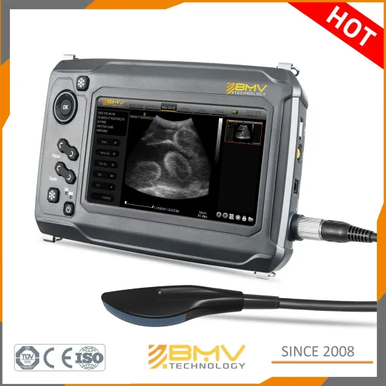 Farm Animals Pregnancy Imaging Diagnosis Equipment Touch Screen Ultrasound