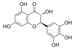 Factory Supply High Quality Vine Tea Extract 98% Dihydromyricetin Powder