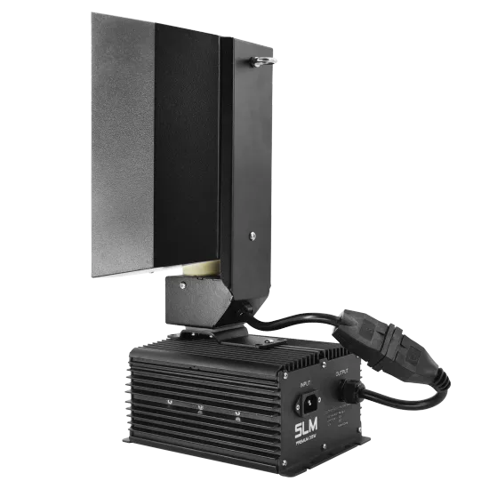 ETL Approved 315W CMH Grow Light Ballast