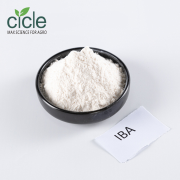 Ácido IBA 3-indolebutírico: auxina premium para desenvolvimento radicular