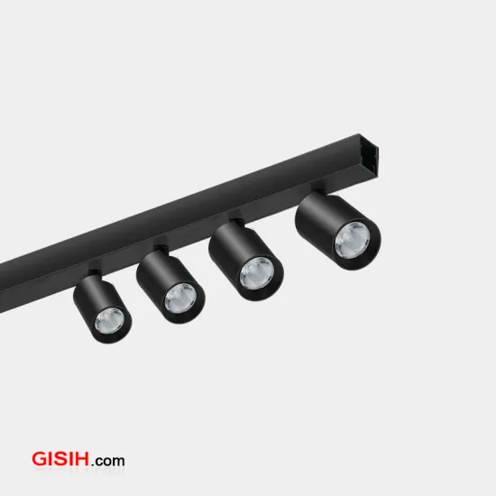 Multi-Angle Adjustable 2*3W LED Cabinet Light for Jewelry Showcase (LC7597D-N)