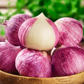 Single Clove Garlic (Allium sativum)