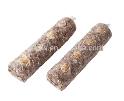 Champignon  Mushroom White  Color