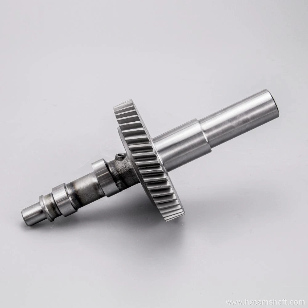 Double Cylinder Engine Camshaft