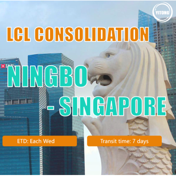 NingboからシンガポールへのLCL貨物輸送