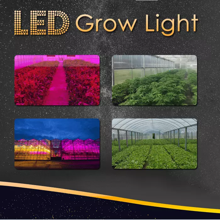 LED Grow Hydro Light
