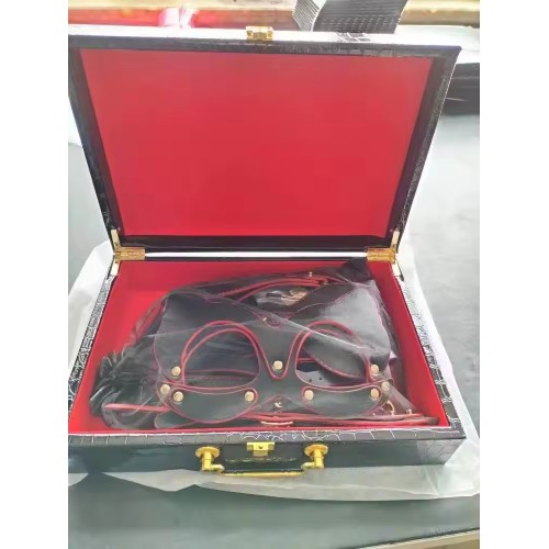 Настоящий набор сдержанности пары из кожи