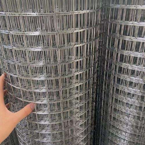 Electro Galvanized Welded Wire Mesh Welded Wire Mesh - Galvanized before Welding Factory