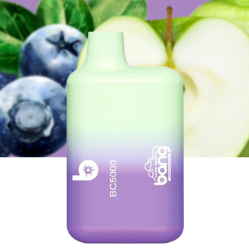 Hot Selling Bang 5000Puffs High Quality Price