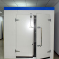 Cold Room Swing Door