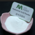 China Low Molecular Weight Hyaluronic Acid Powder Supplier