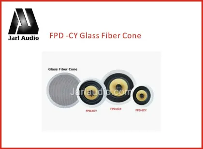 wall speaker , wall ceiling speaker , hanging ceiling speaker