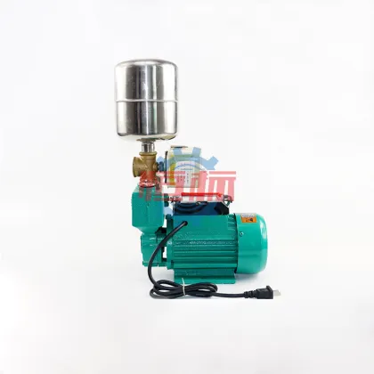 ZDB Series 1/2 HP Small Electric Peripheral Self-Priming Pump