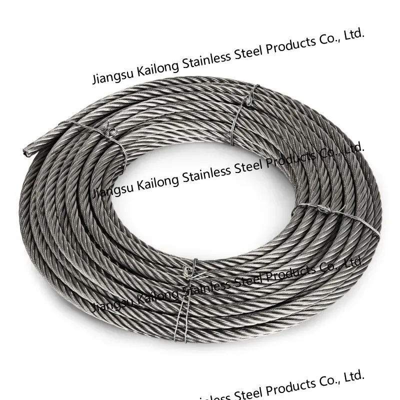 6mm Stainless Steel Wire Rope with Black PVC/Nylon Coating for Sale